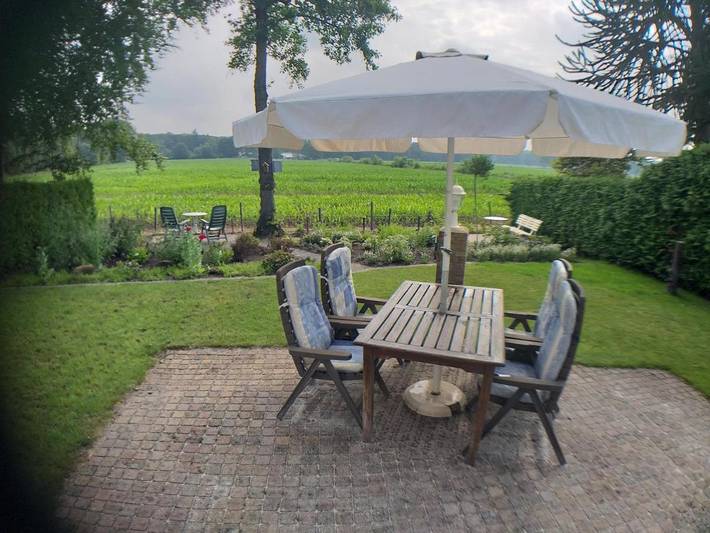 Gîte pour 5 personnes, avec terrasse et vue à Oisterwijk - 2