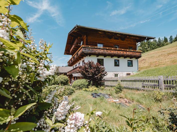 Ferienwohnung für 9 Personen, mit Balkon und Garten in Neukirchen am Großvenediger