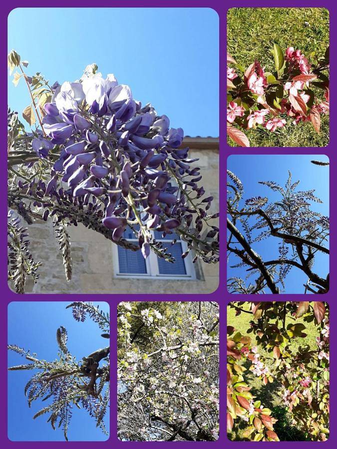 Gîte pour 2 personnes, avec vue ainsi que terrasse et jardin à La Réorthe - 4