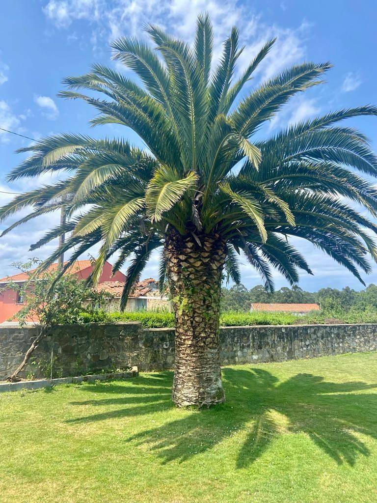 Finca rural "Mar y Montaña" in Lamuño, Cudillero