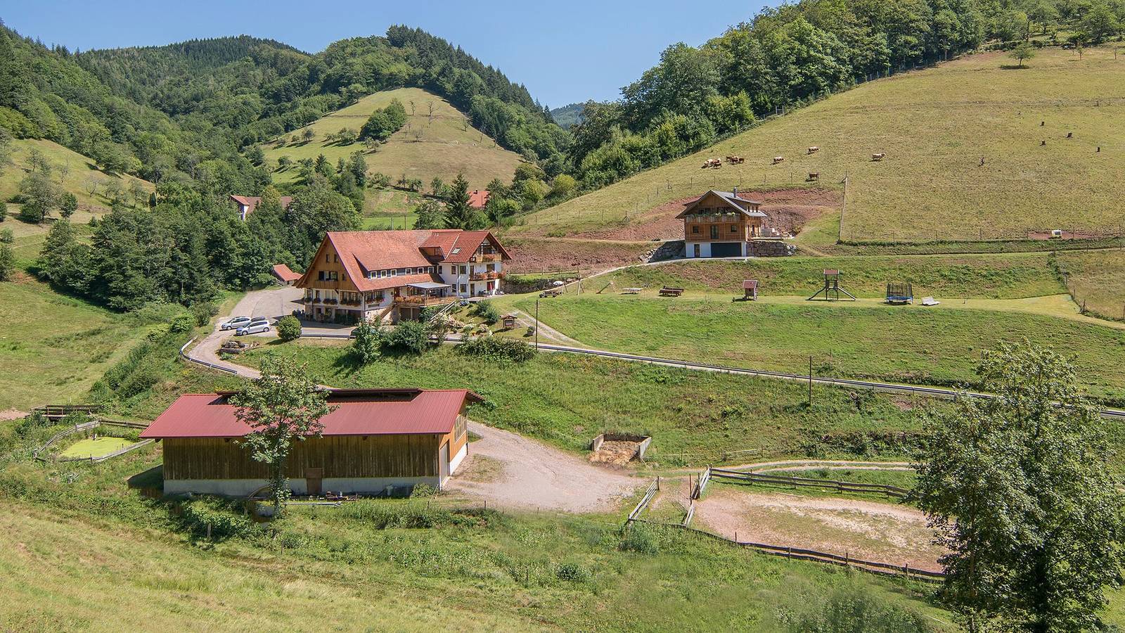 Ganze Wohnung, Ferienwohnung 'Wiesengrund' mit Bergblick, privater Terrasse und Wi-Fi in Oppenau, Mittlerer Schwarzwald