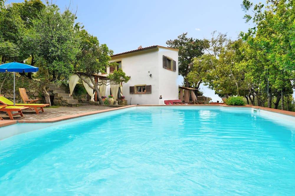 Ciuffini in Elba