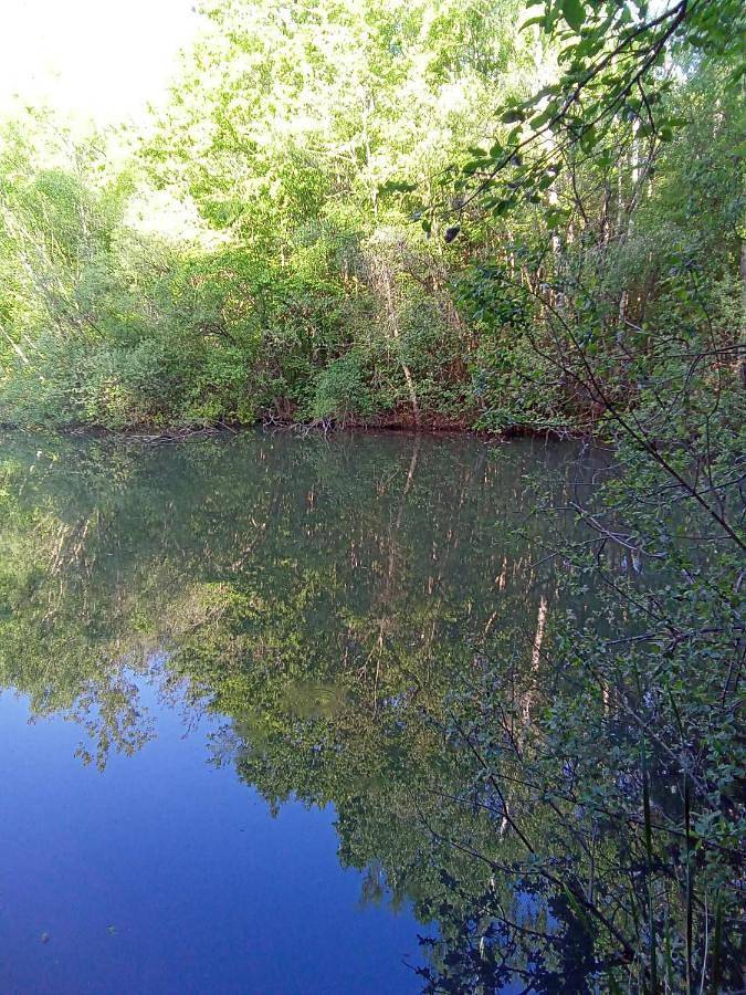 Tente pour 2 personnes, avec jardin ainsi que vue et vue sur le lac dans Yvelines - 4
