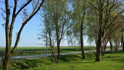 Ferienwohnung für 5 Personen in Krummhörn, Landkreis Aurich, Bild 2