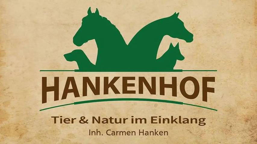 Ferienwohnung für 4 Personen, mit Garten in Filsum