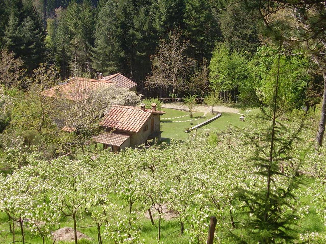 Komfortables Haus in Bibbiena + Pool in Bibbiena, Casentino