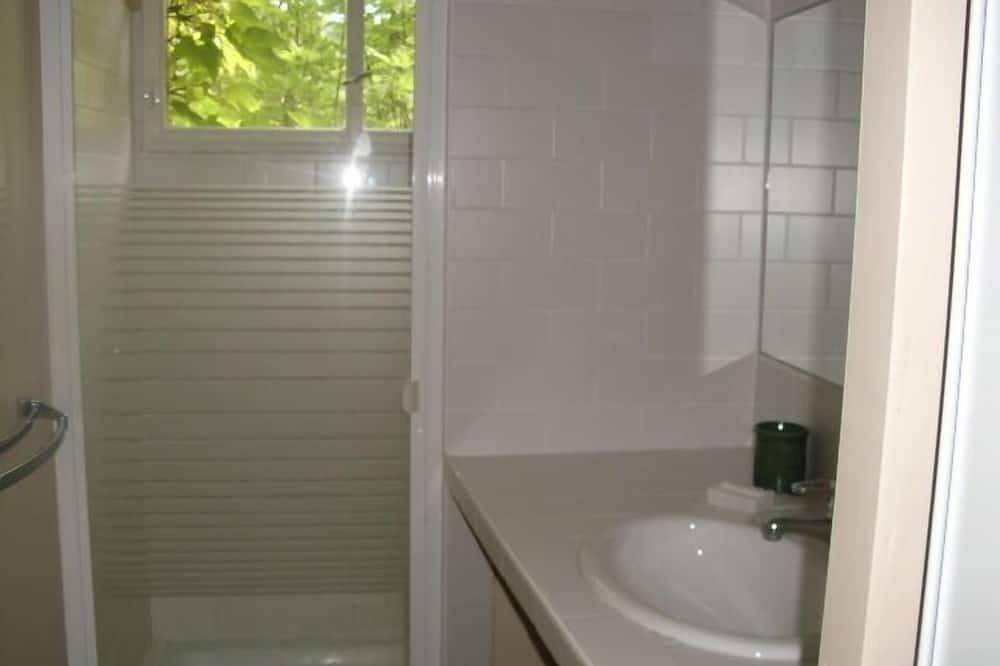 En el corazón de un bosque de castaños. in Pont-de-Montvert-Sud-Mont-Lozère, Cevenas