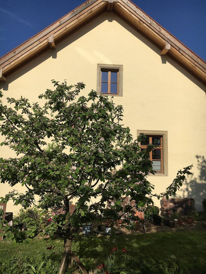 Ferienwohnung für 4 Personen, mit Terrasse und Garten in Neunburg vorm Wald - 2