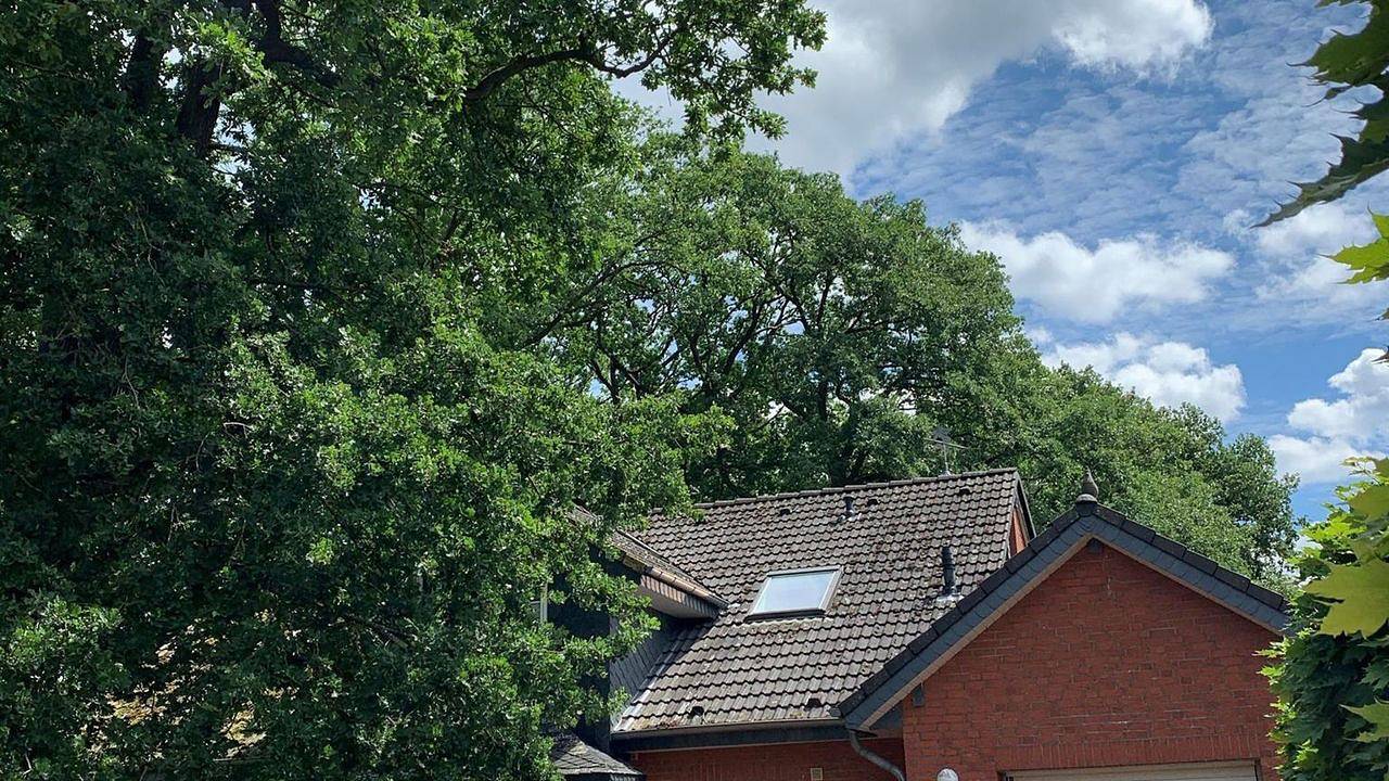 Geheel vakantieappartement, Vakantieappartement voor 4 personen met tuin in Neuenkirchen (Lüneburger Heide), Landkreis Heidekreis