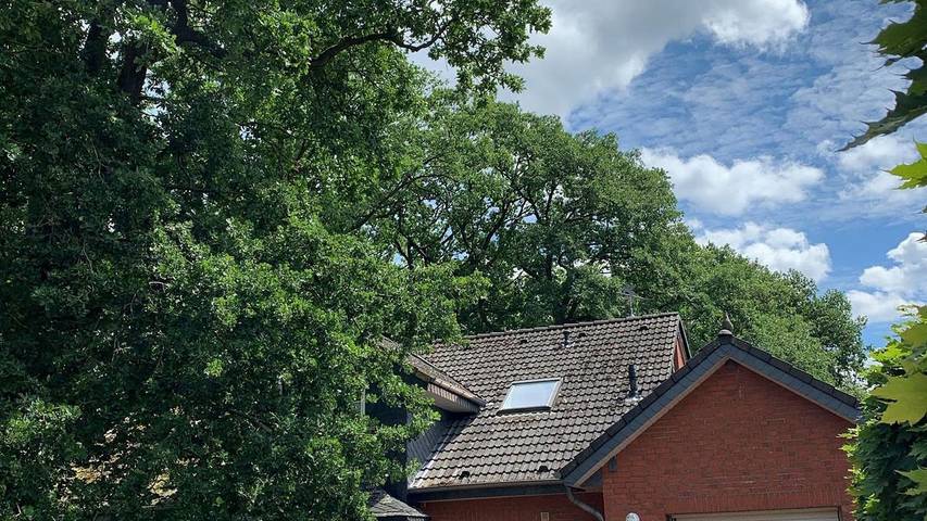 Ferienwohnung für 4 Personen, mit Garten in Neuenkirchen (Lüneburger Heide) - 2