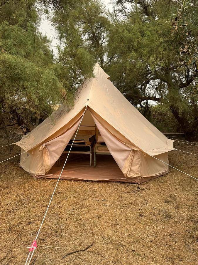 Camping pour 2 personnes, animaux acceptés en Nouvelle-Aquitaine - 4