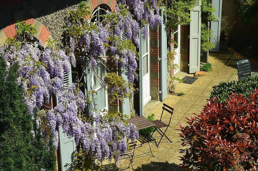 Delicioso rural en el suroeste de Francia - Jardín privado, cerca de la ciudad y bellos paseos in Mazamet, Región de Castres