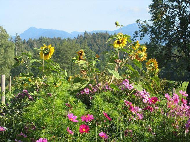 Ferienwohnung für 4 Personen, mit Ausblick und Garten in Wackersberg - 3