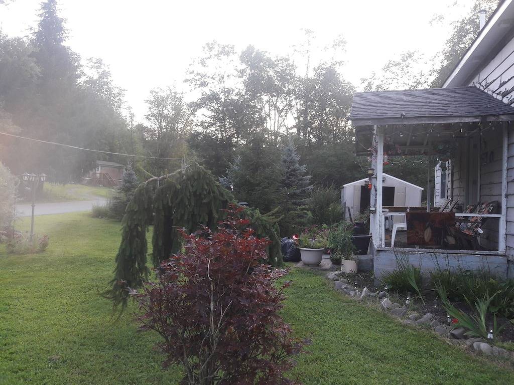 Familienfreundliches, gemütliches Ferienhaus am Small River im Herzen der Catskills. in Sullivan County