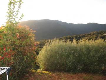 Cottage for 2 People in Carbuccia, Corse-du-Sud, Photo 1