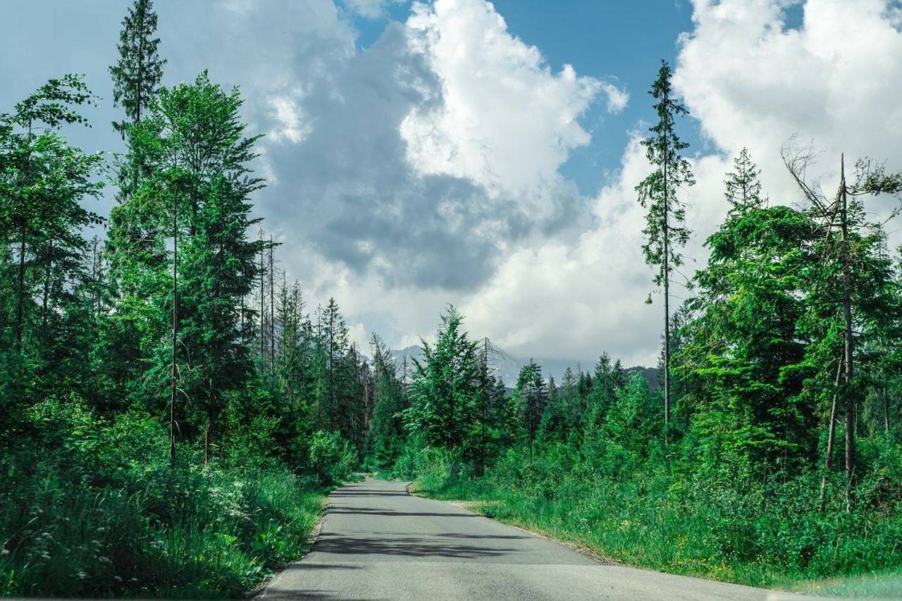 Domki i Pokoje Gościnne Na Wyskówkach in Murzasichle, Karpaty (Polska)