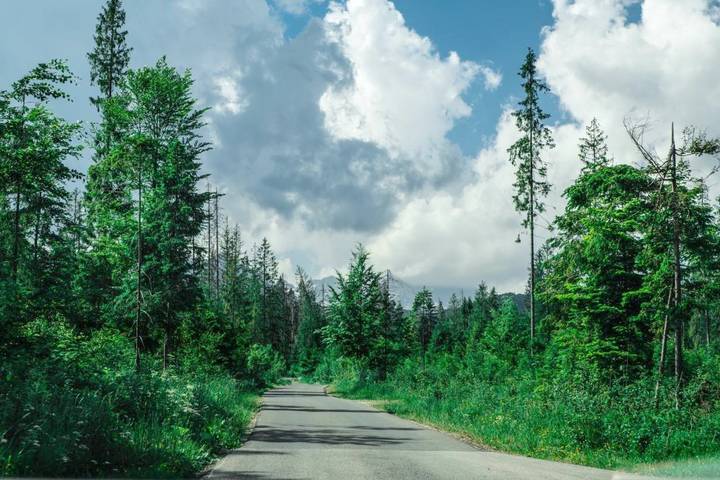 Ferienwohnung für 2 Personen, mit Garten und Sauna in Zakopane - 4