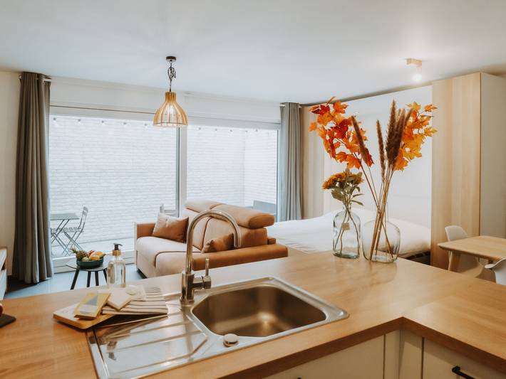 Ferienwohnung für 2 Personen, mit Garten und Terrasse, mit Haustier in Blankenberge - 3