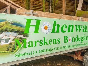 Ferienhaus für 4 Personen, mit Haustier in Højer