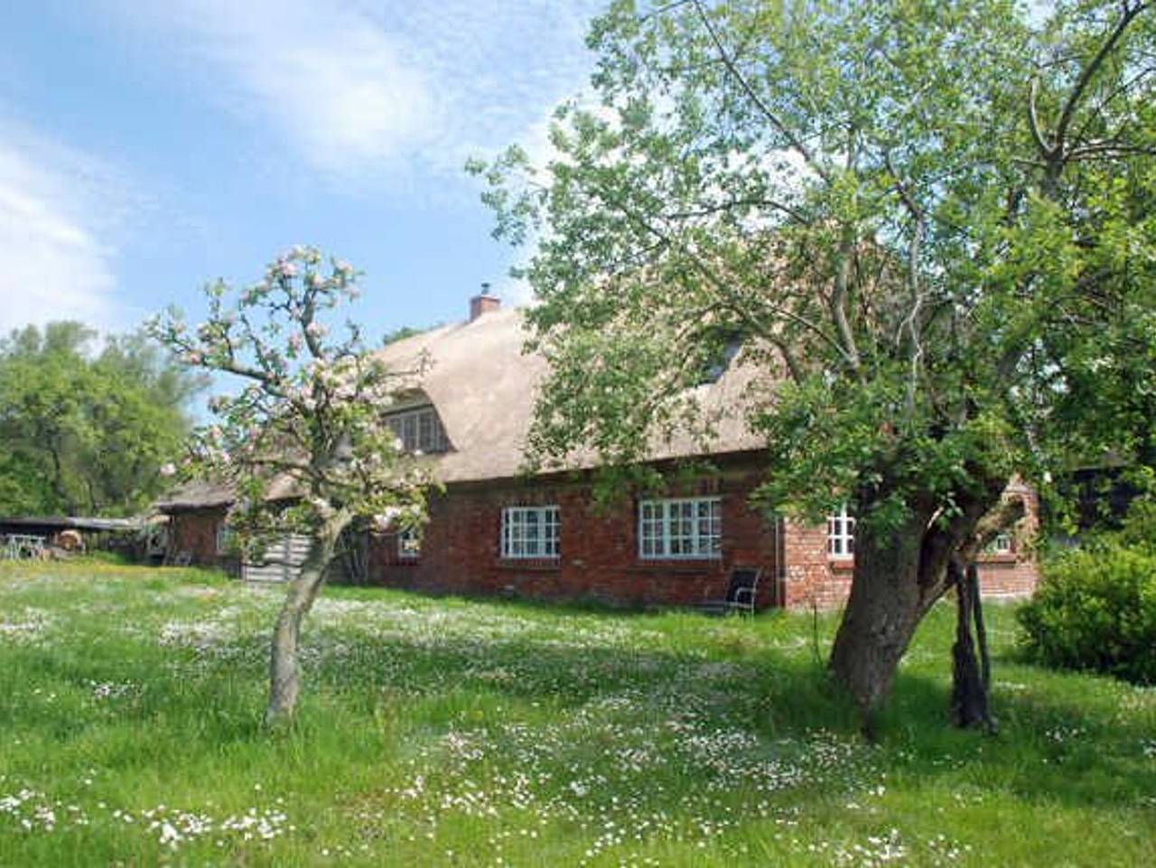 Ferienwohnungen in Groß Zicker auf der Insel Rügen - große Ferienwohnung mit Terrasse und Gartenblick (S) in Groß Zicker, Mönchgut