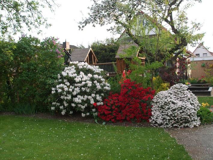 Ferienhaus für 25 Personen, mit Balkon und Terrasse sowie Garten in Visselhövede - 3