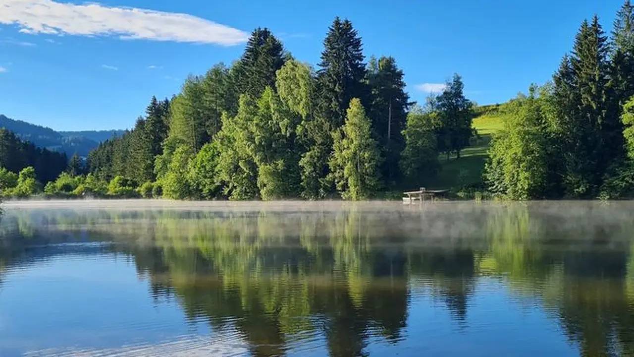 Ganze Ferienwohnung, Ferienwohnung für 2 Personen (35 m²) in Mühlen in Mühlen, Lavanttaler Alpen