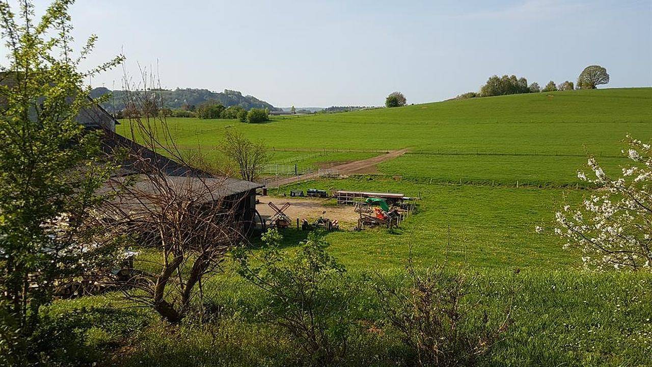 Ganze Ferienwohnung, Ferienwohnung für 4 Personen (60 m²) in Losheim Am See in Losheim am See, Saar-Nahe-Bergland