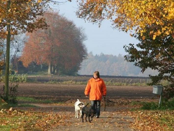 Bauernhof für 5 Personen, mit Garten, kinderfreundlich an der Nordsee - 3