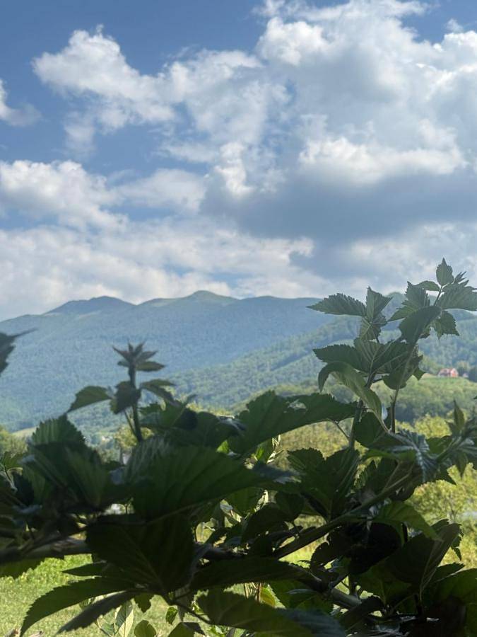 Konaci Očeva Zemlja Vikendica i Bungalovi in Montenegro