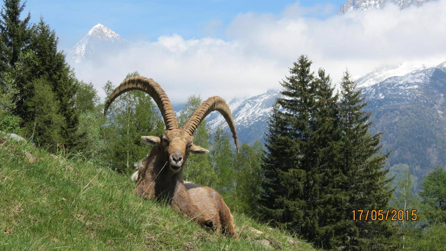 Chalet Le Solly in Flumet, Albertville region