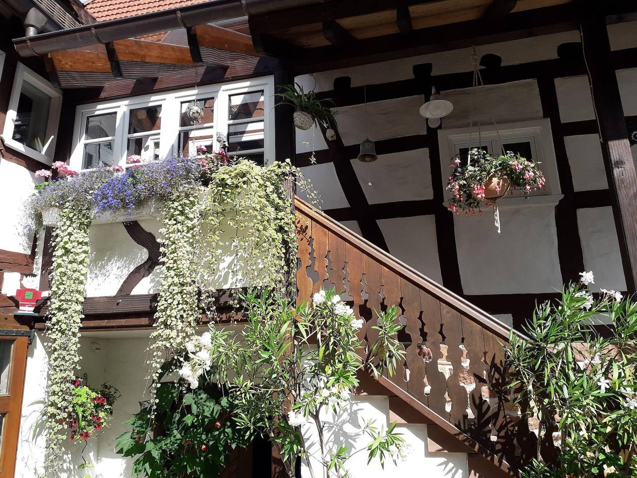 Ganze Ferienwohnung, Appartement Kastanienhof - Appartement/Fewo, Dusche, Wc, Nichtraucher in Dörrenbach, Südliche Weinstraße