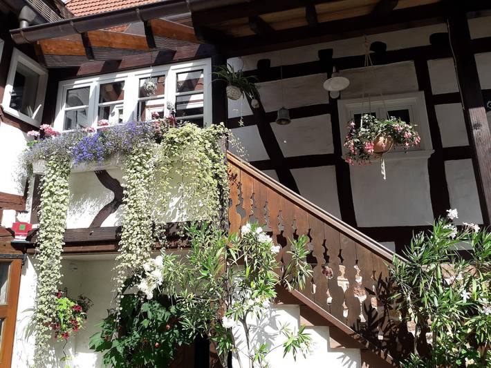 Ferienwohnung für 2 Personen im Pfälzer Wald - 4