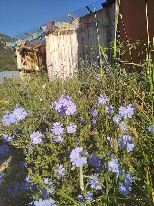 Location de vacances pour 8 personnes, avec jardin ainsi que terrasse et jacuzzi à Boulc - 3