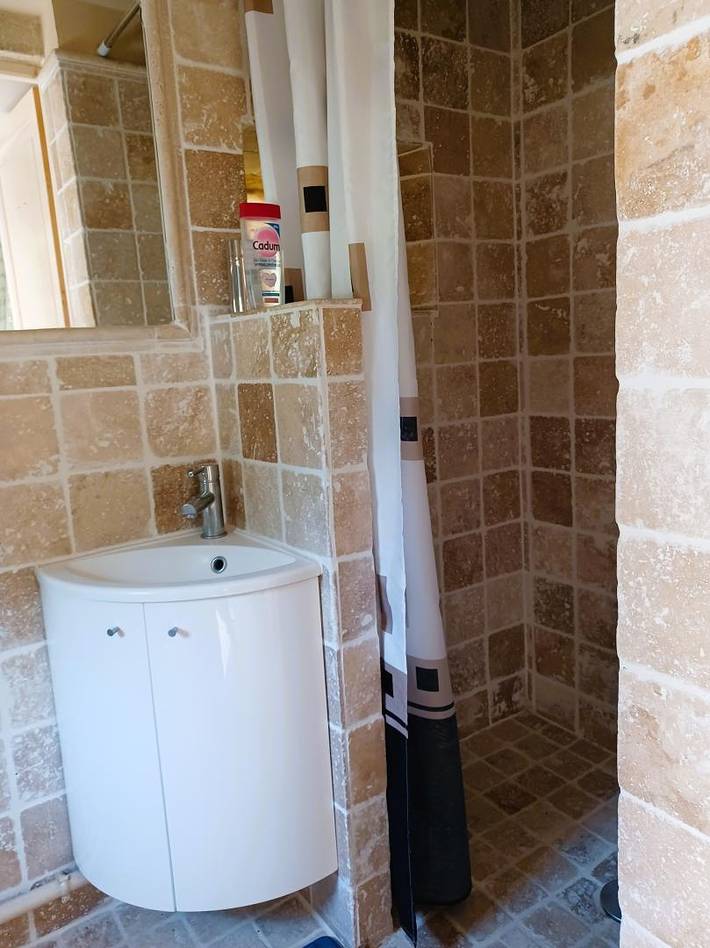 Gîte for 12 people, with pool and terrace as well as garden - 1