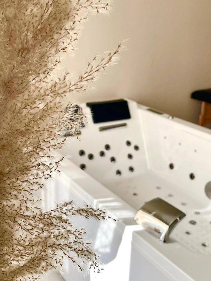 Location de vacances pour 4 personnes, avec jacuzzi et terrasse ainsi que sauna et jardin à Châlons-en-Champagne - 2