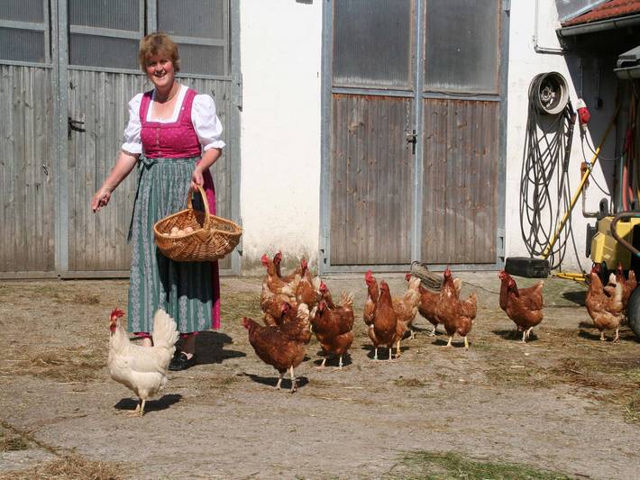 Bauernhaus für 4 Personen, mit Garten, kinderfreundlich in Landkreis Rosenheim - 3