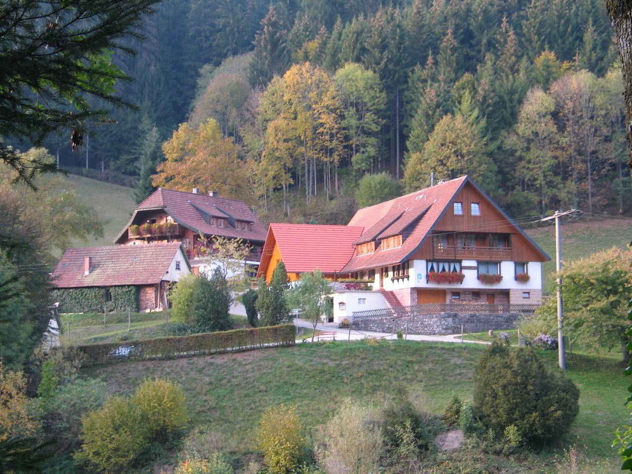 Ganze Wohnung, Ferienwohnung 2 Im Bauernhaus" mit gemeinsamer Terrasse, Gemeinschaftsgarten und Wlan in Bad Rippoldsau-Schapbach, Mittlerer Schwarzwald
