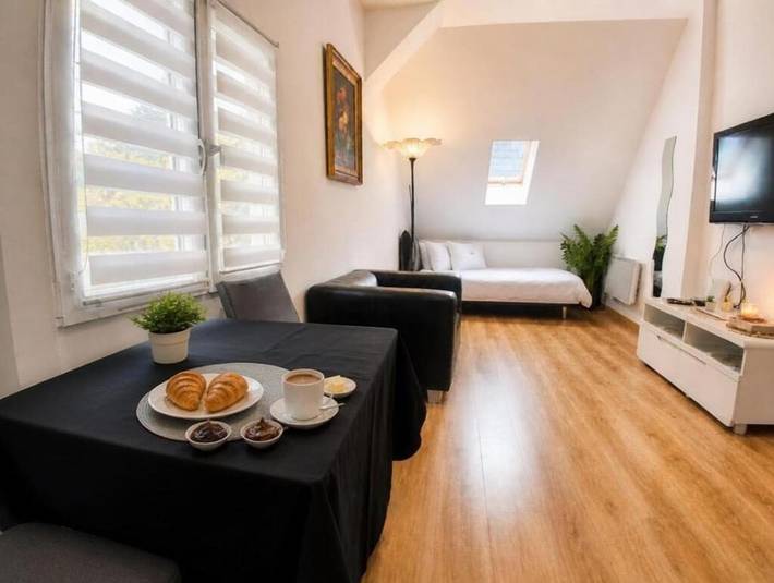 Gîte pour 3 personnes, avec Terrasse et Jardin dans Sierentz
