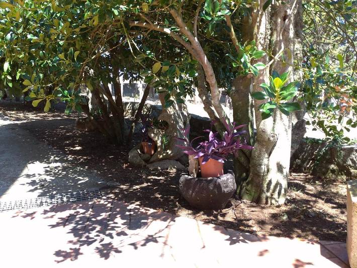 Chambre d’hôte pour 2 personnes, avec vue ainsi que balcon et jardin à Nuoro - 3