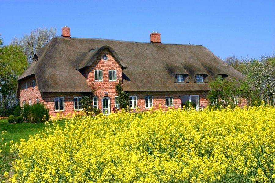 Ganze Ferienwohnung, Alter Gardinger Deich - Wohnung G 1 in Eiderstedt