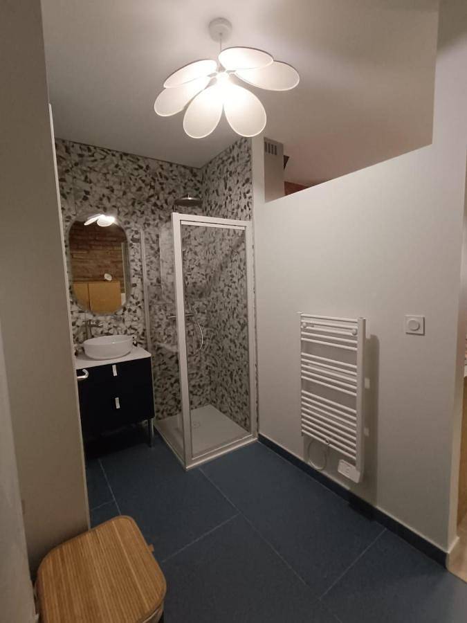 Gîte pour 2 personnes, animaux acceptés à Lescure-d'Albigeois - 3