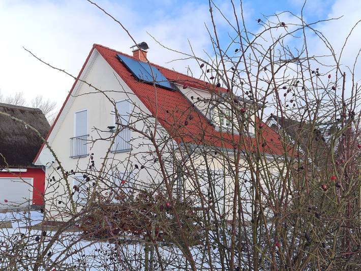 Ferienpark für 7 Personen, mit Garten und Terrasse, mit Haustier in Rerik - 4
