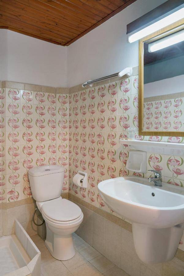 Hôtel pour 2 personnes, avec vue et balcon dans Palaia Epidavros - 3