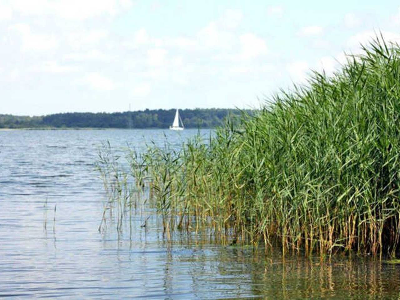Ganze Ferienwohnung, Ferienwohnung Brandshagen - Ferienwohnung in Sundhagen, Stralsund Umland