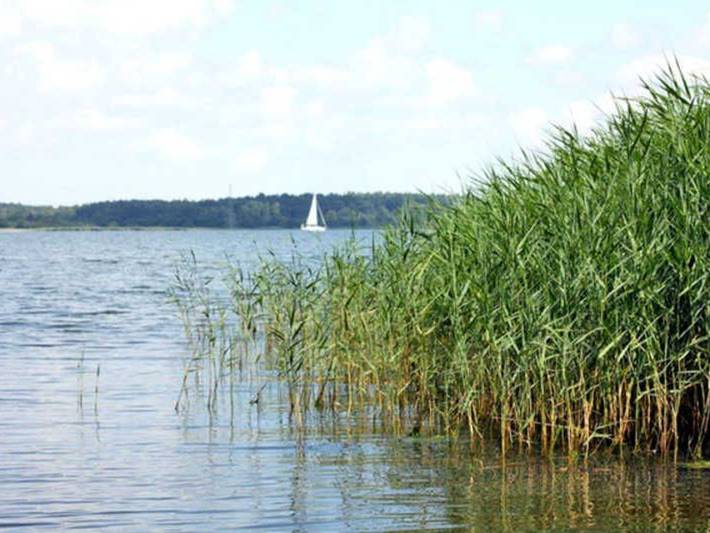 Ferienwohnung für 6 Personen, mit Garten in Sundhagen - 4