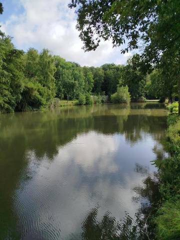 Location de vacances pour 6 personnes, animaux acceptés à Hautvillers