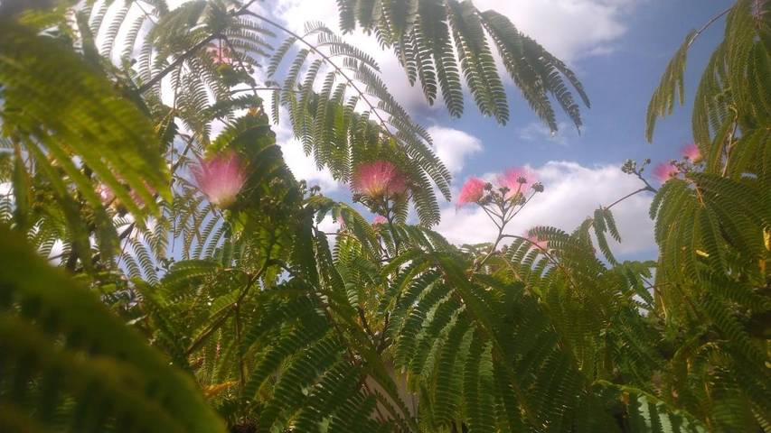 Location de vacances pour 6 personnes, avec jardin et vue ainsi que piscine et balcon à Thurageau - 3
