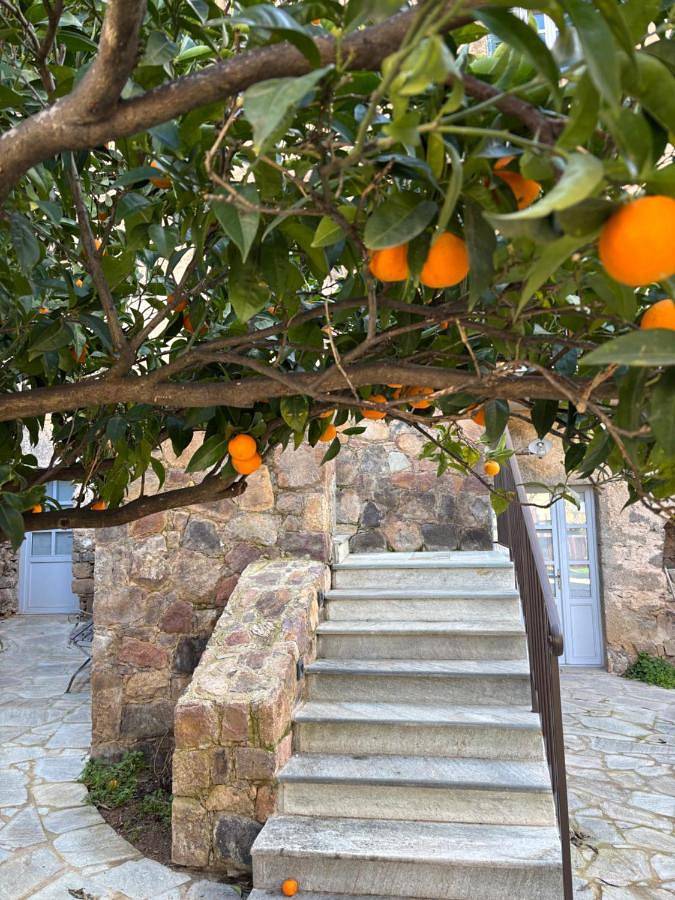Superior Double Room in Calenzana, Région de Calvi