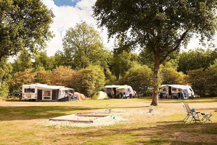 Camping voor 6 personen, met terras in het Nationaal Park Dwingelderveld