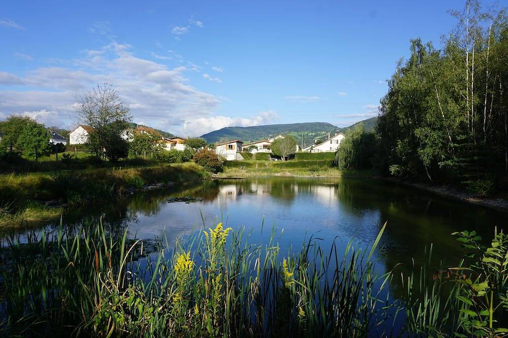 Chalet sur grand terrain paysagé avec étang de pêche privé in Vagney, Parc naturel régional des Ballons des Vosges